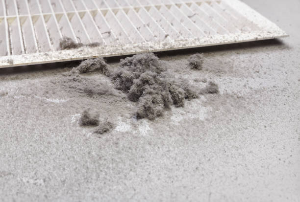 Best HVAC Maintenance and Cleaning  in Ferndale, MD