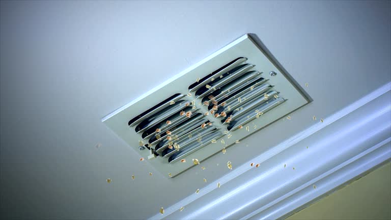 Best Dryer Vent Cleaning Services  in Ferndale, MD