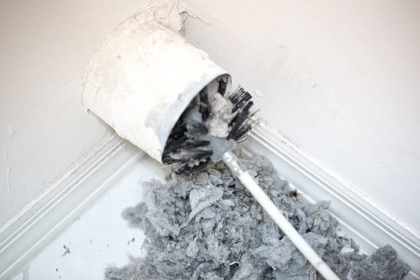 Best Duct Cleaning for Homes  in Ferndale, MD